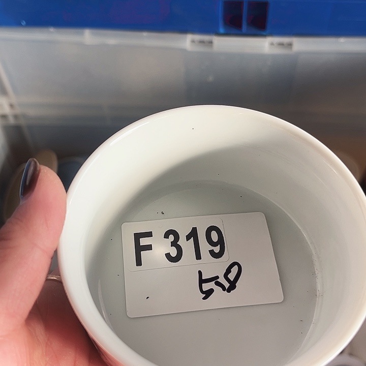 ໒***༗瓷器瓷器瓷器瓷器