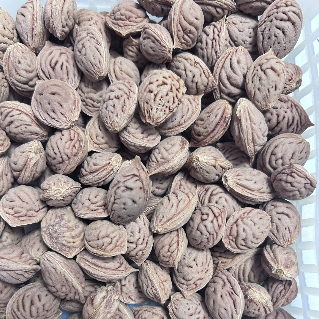 小麦色 碧桃核 手串 雕刻 首料