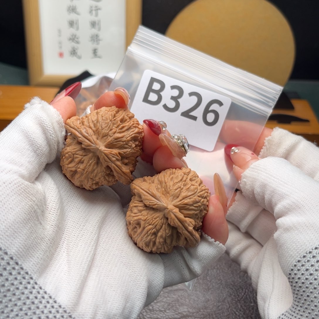 文玩核桃把件39白狮子b 326