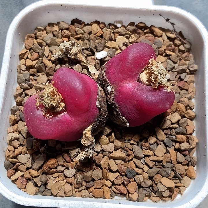 29345。 1430.481。  