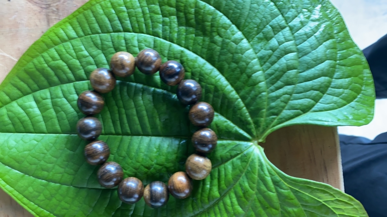 【阿雅专属南北】1010菇25g起