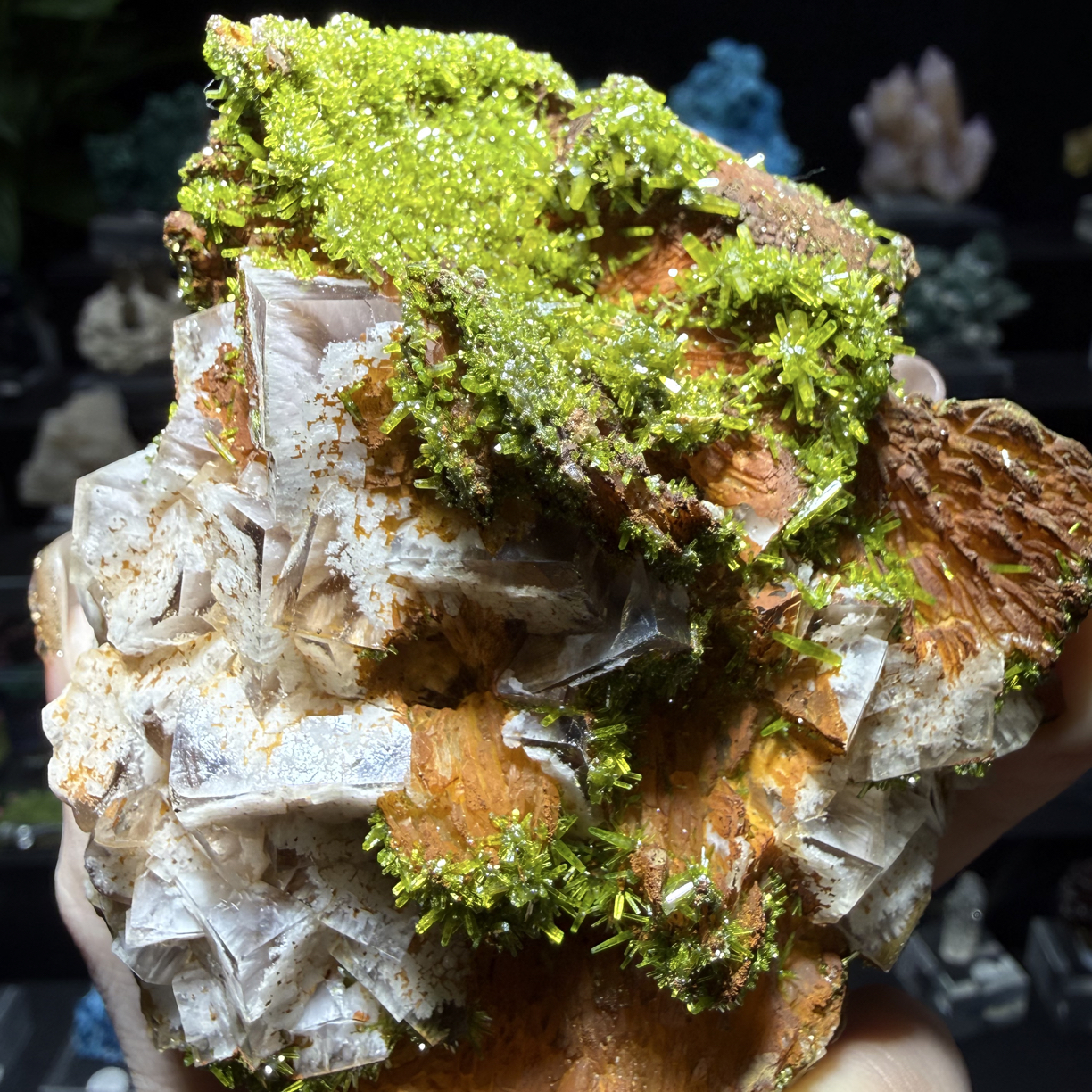 补差价专用商品拍前务必联系客服