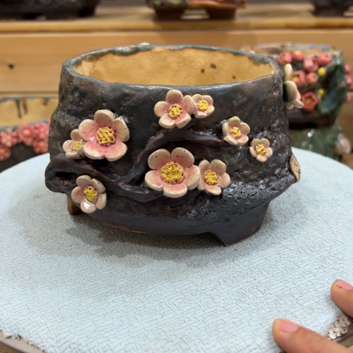 陶然多肉花盆百搭