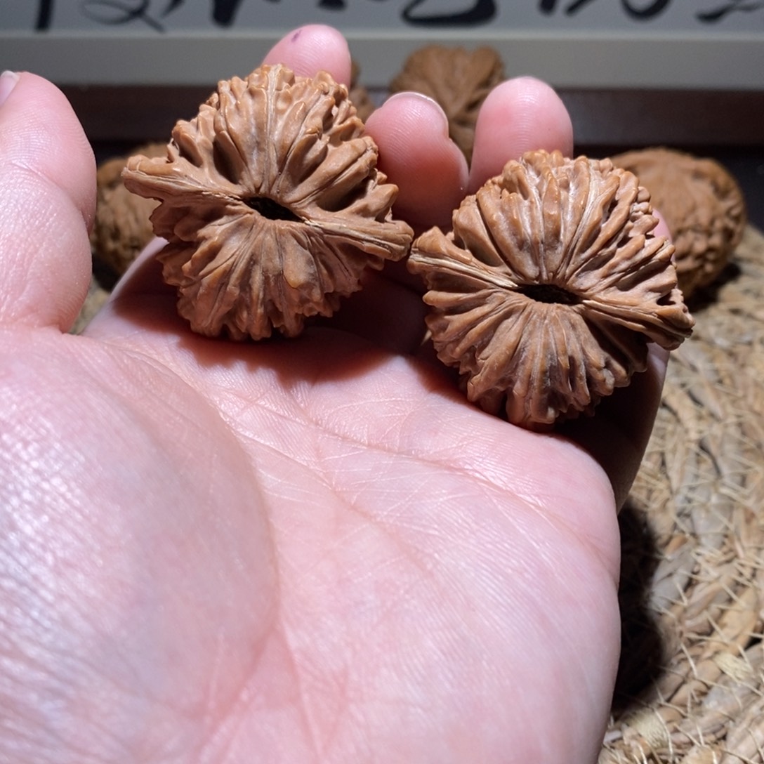 张***林桃核吊坠41平谷楼