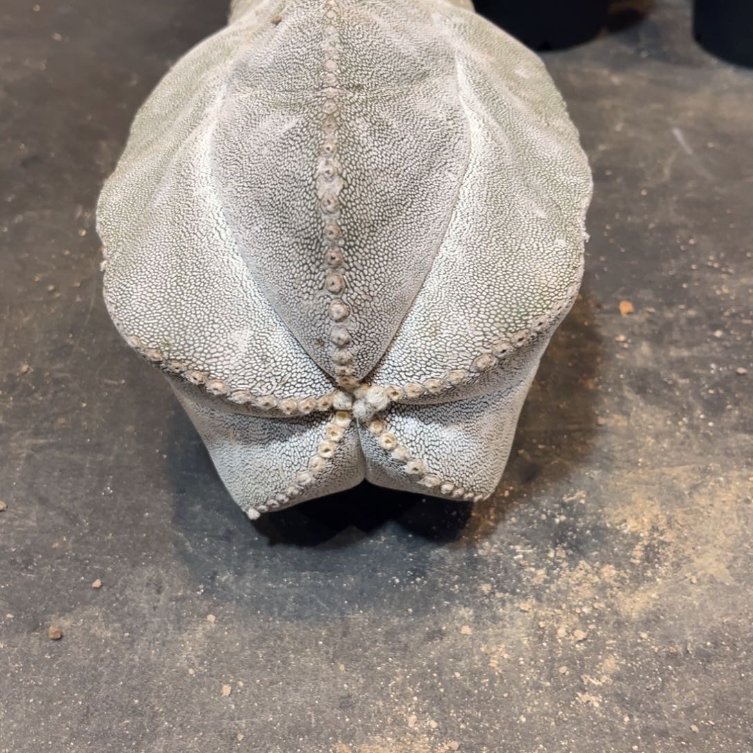 用***4完全开放哈哈哈哈哈哈哈哈哈我是真