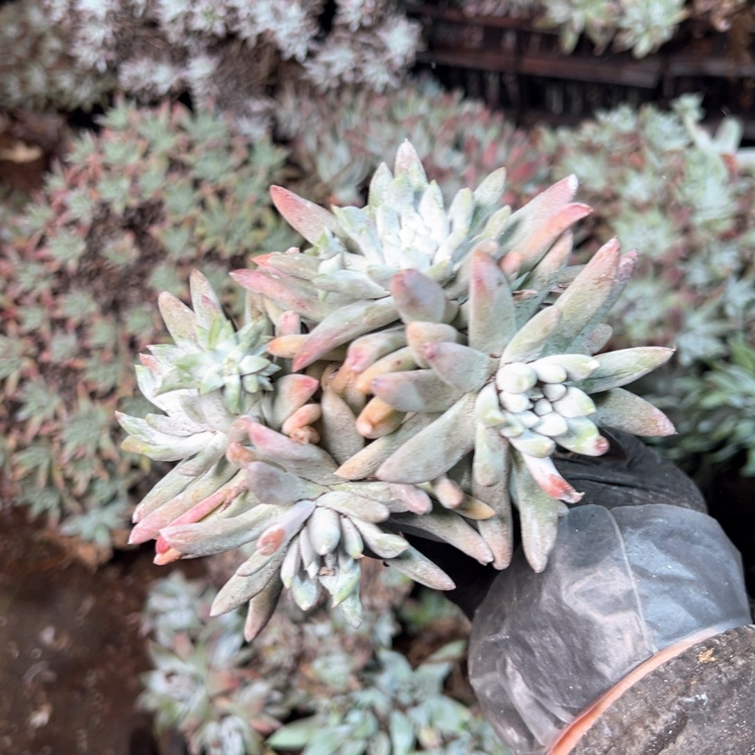 6960哈哈哈哈哈哈哈哈