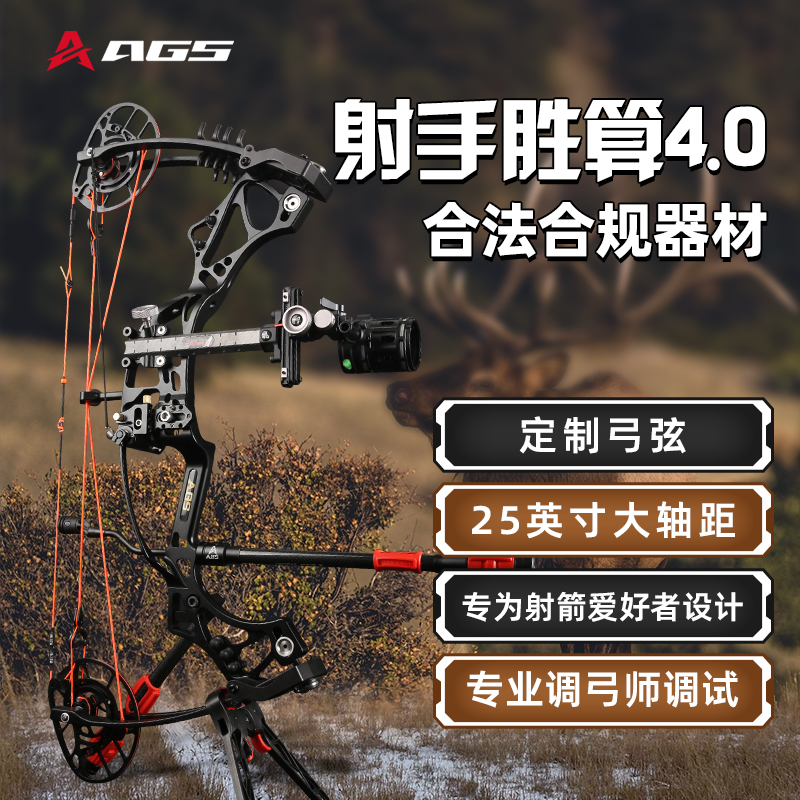 A Great Shooter胜算4.0复合弓比赛用品赛事专用高精度合法器械
