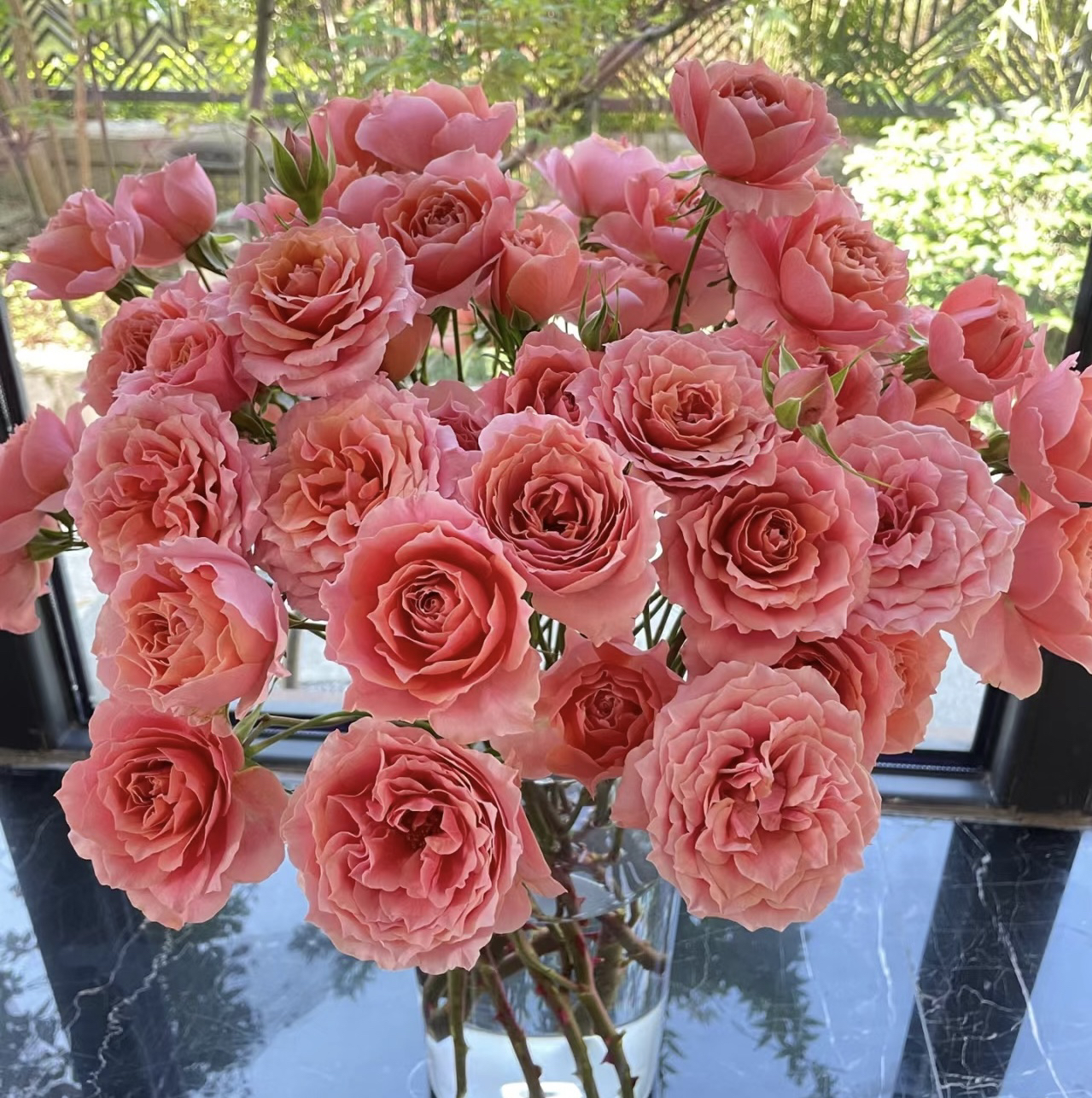 粉色拉拉队多头 玫瑰 全场任意两单顺丰/京东