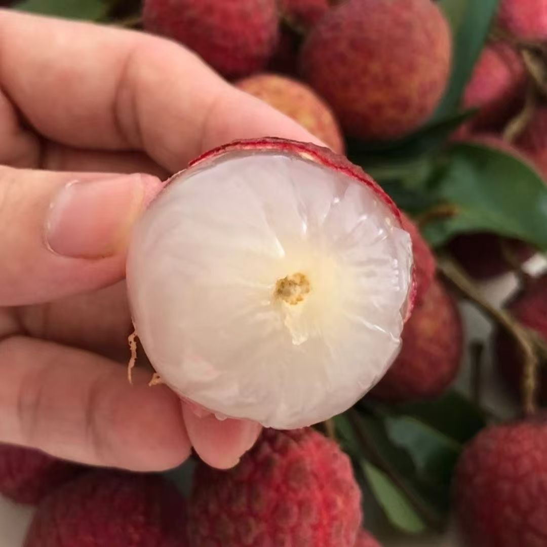 C[锁鲜泡沫箱 冷链发货]广西新鲜水果荔枝超甜多汁发货