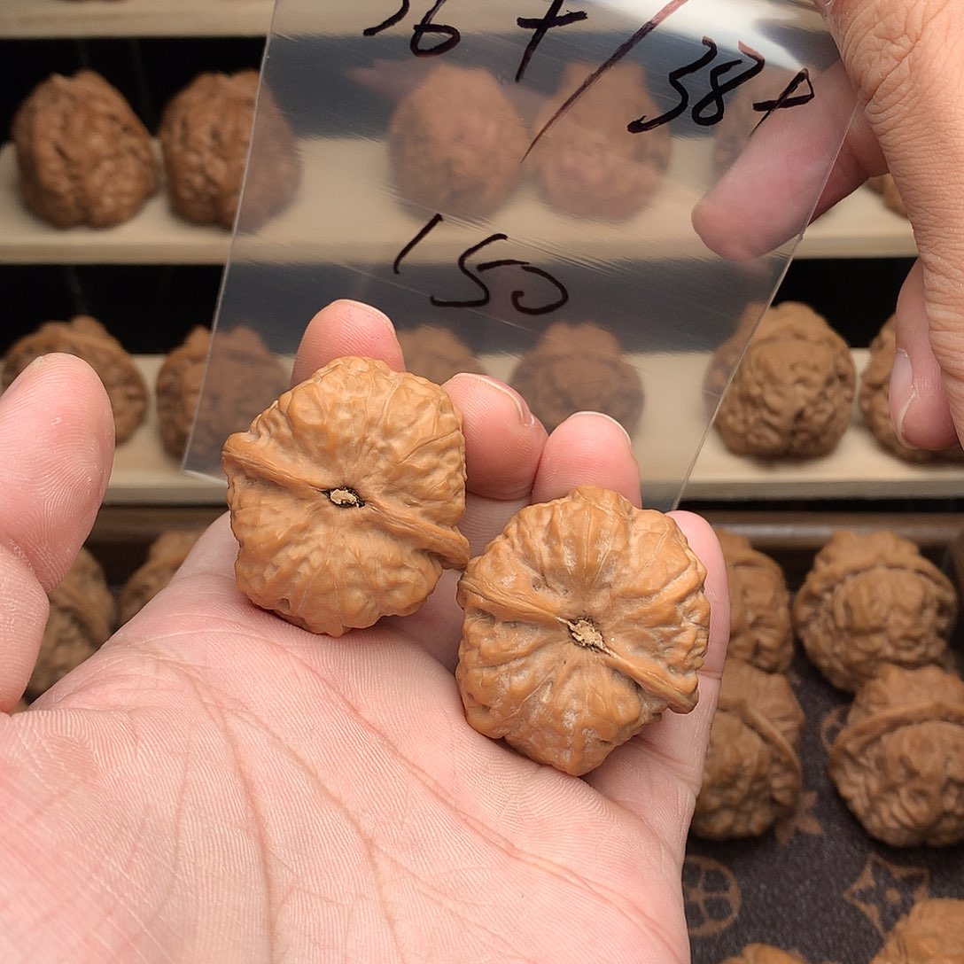 核桃蛤蟆头36尺精品