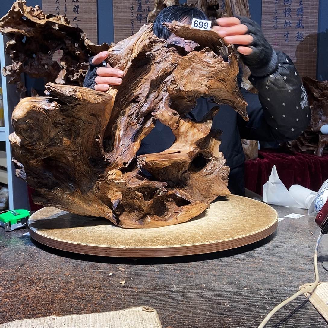 聚***骚699。株木随行根艺