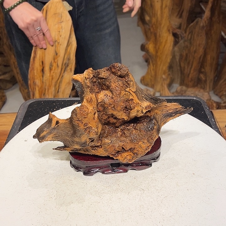 松木（琥珀木）于***?