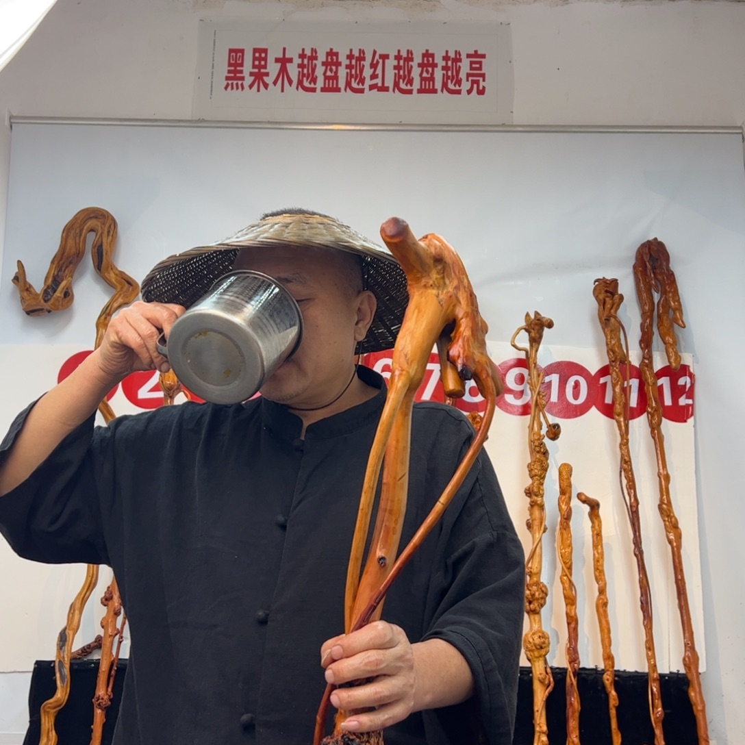 根***术其他黑果木黑果木822