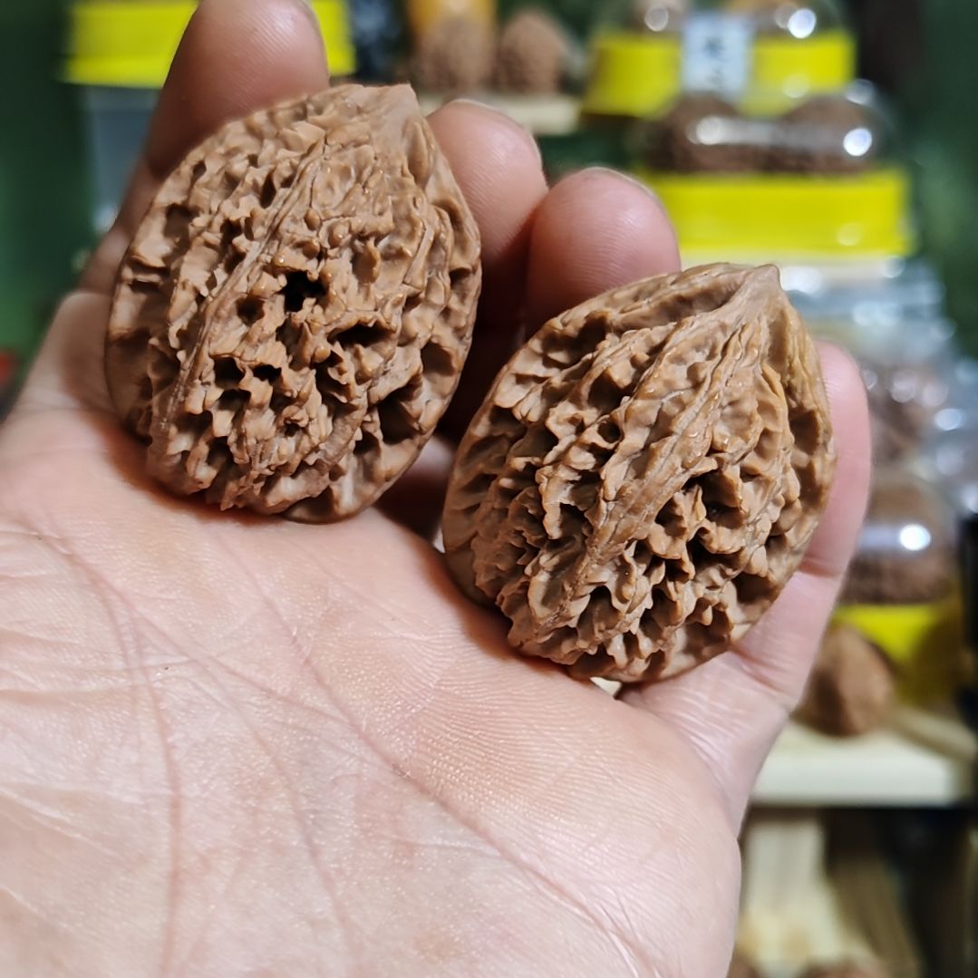 38加尺寸秦岭野生龙筋鸡心