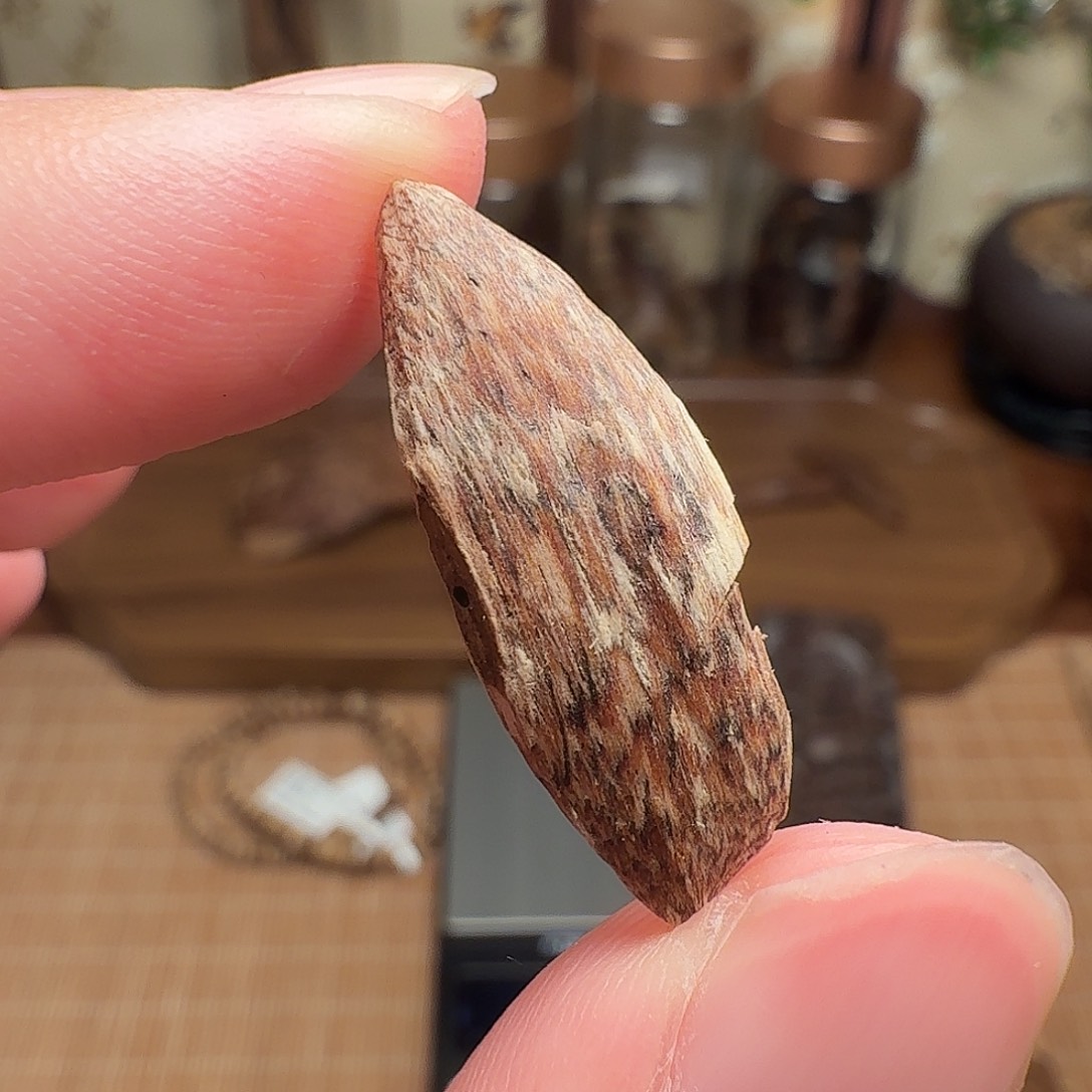 沉香香港大屿山棋韵瓜子