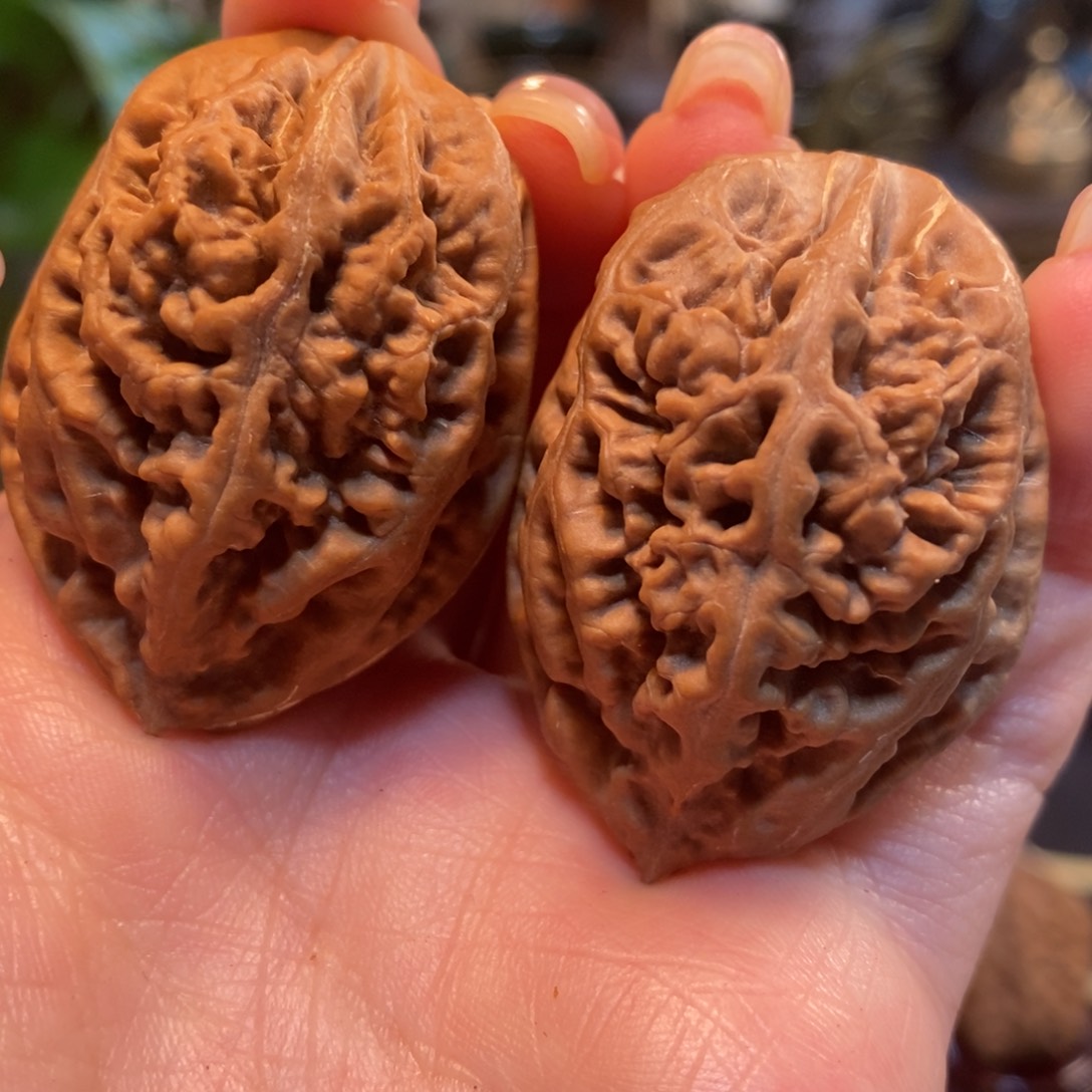 文玩核桃吊坠老树珊瑚纹35