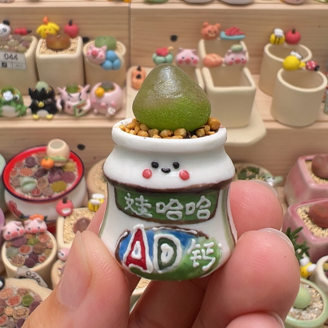 多肉植物47号灯泡