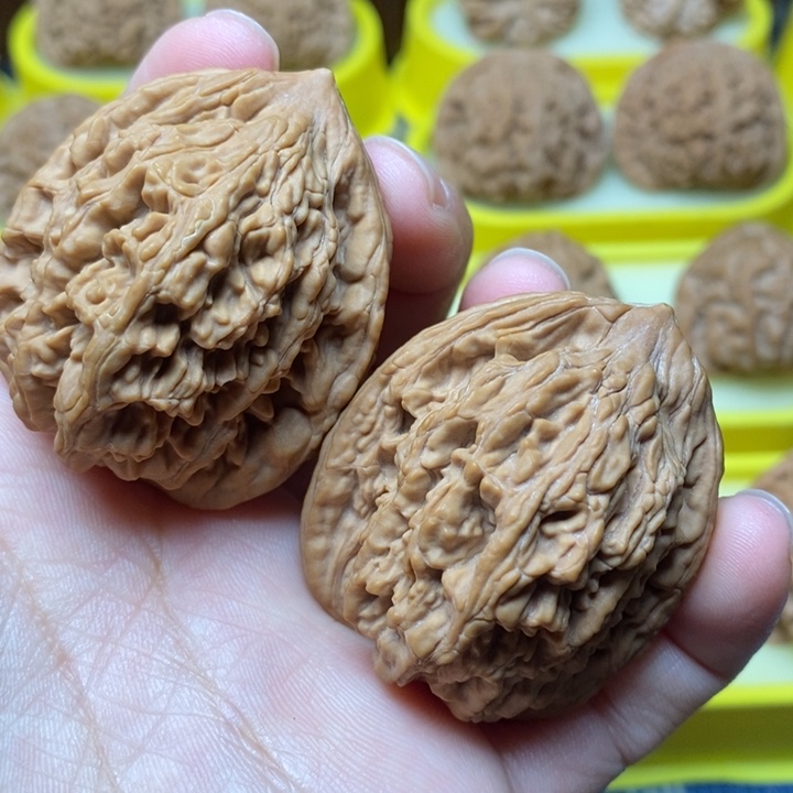 文玩核桃原桩虎头40