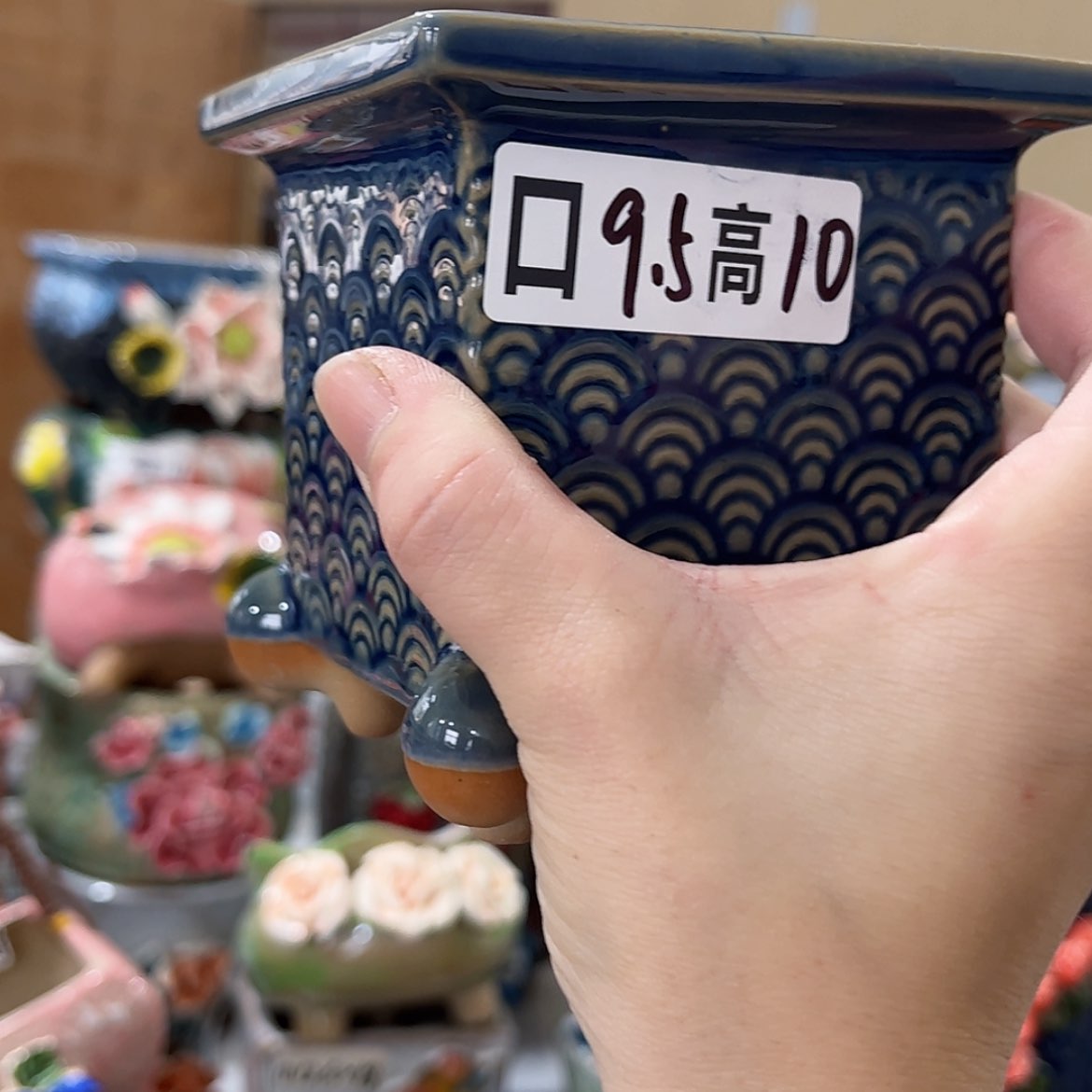 【闪购商品】红陶福利