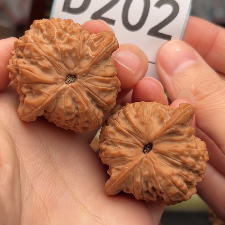 右***岸文玩核桃吊坠202血麒麟