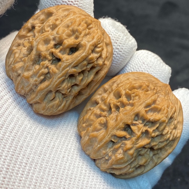 34全品西北将军膀核桃（0666）一物一图。边34肚38高38