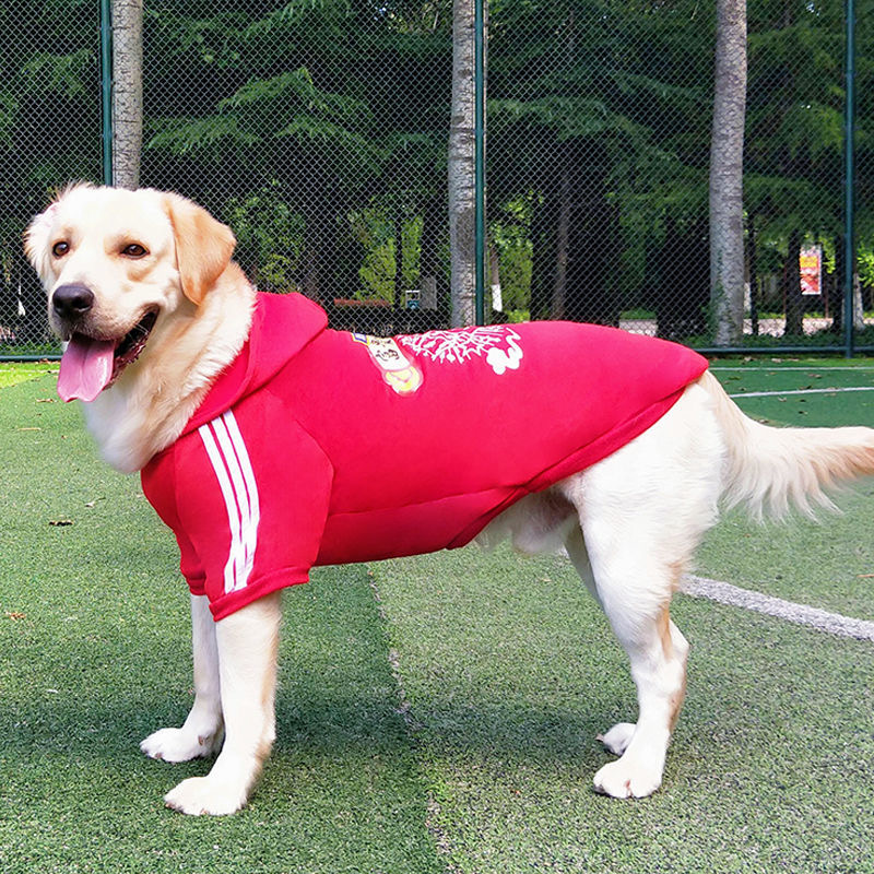 杉杉小铺 金毛啦啦哈士奇通用链接