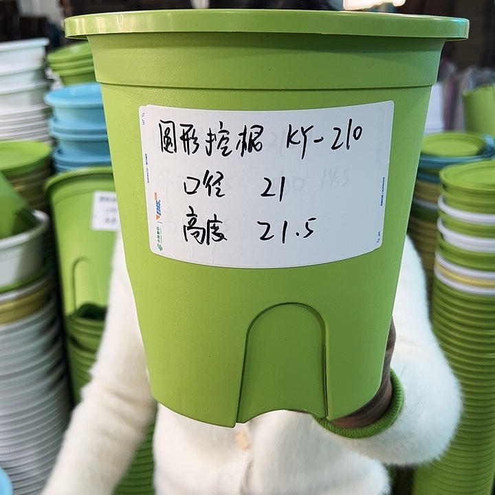 正品圆形控根口21高21果绿色8个带托