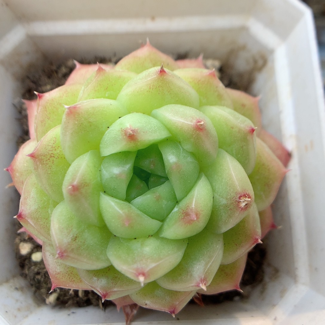 X73 ，20包邮两天凑单偏远不发货