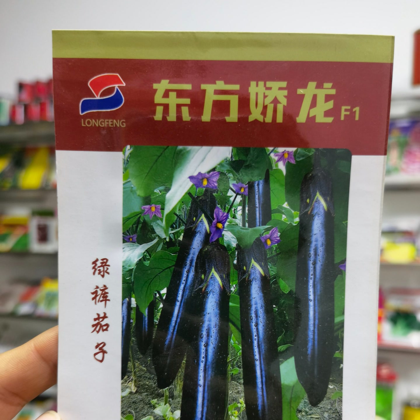 精品绿裤茄子种子黑亮顺直有光泽柔软不掉色