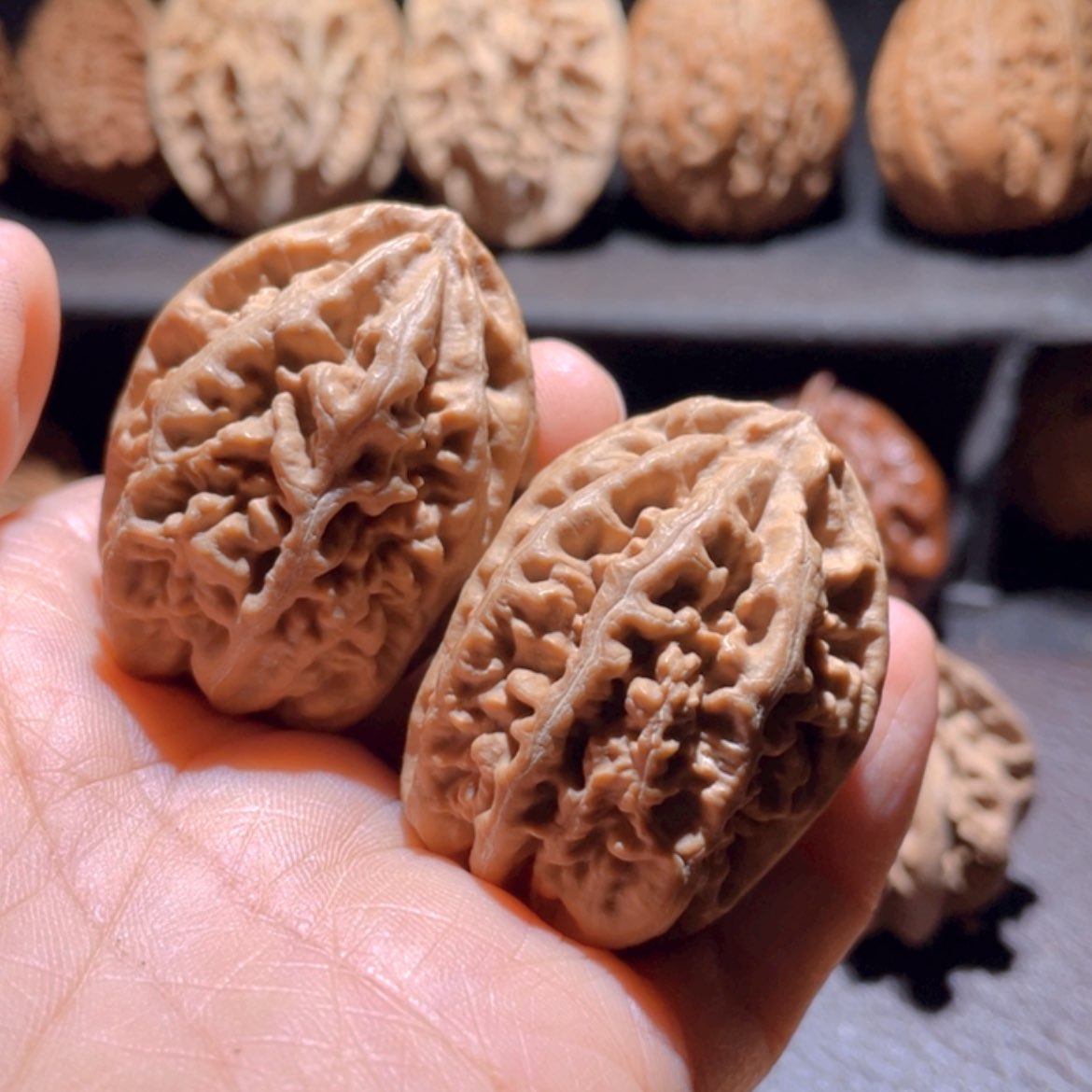 【闪购商品】文玩核桃把件东北楸子16