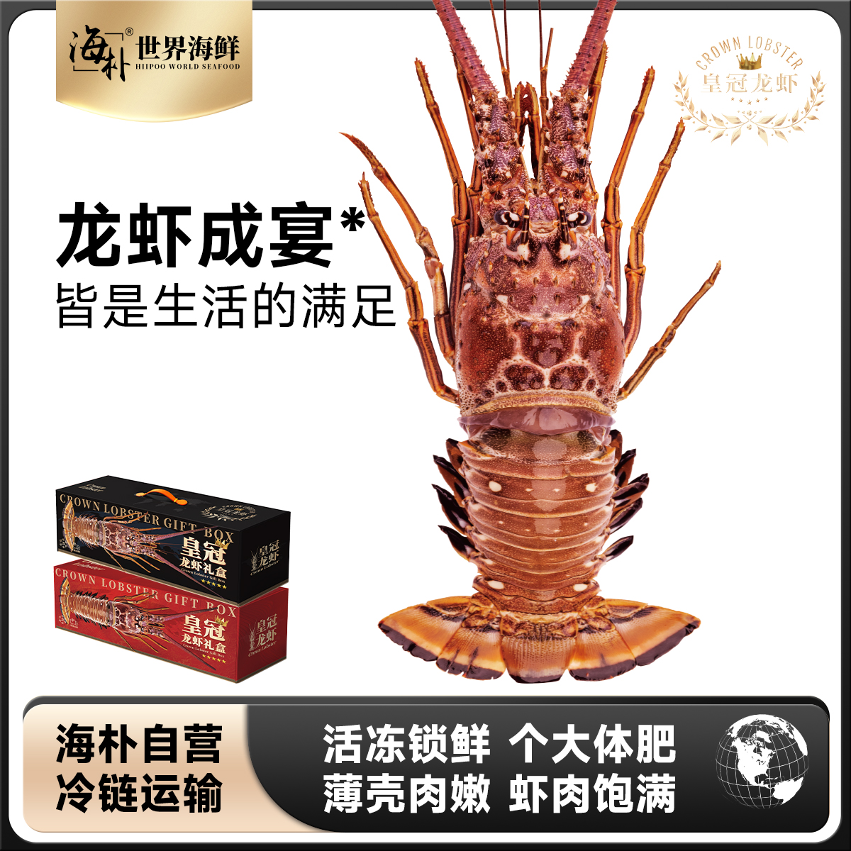 【海朴】冷冻饱满古巴龙虾礼盒年货海鲜礼盒多规格可选