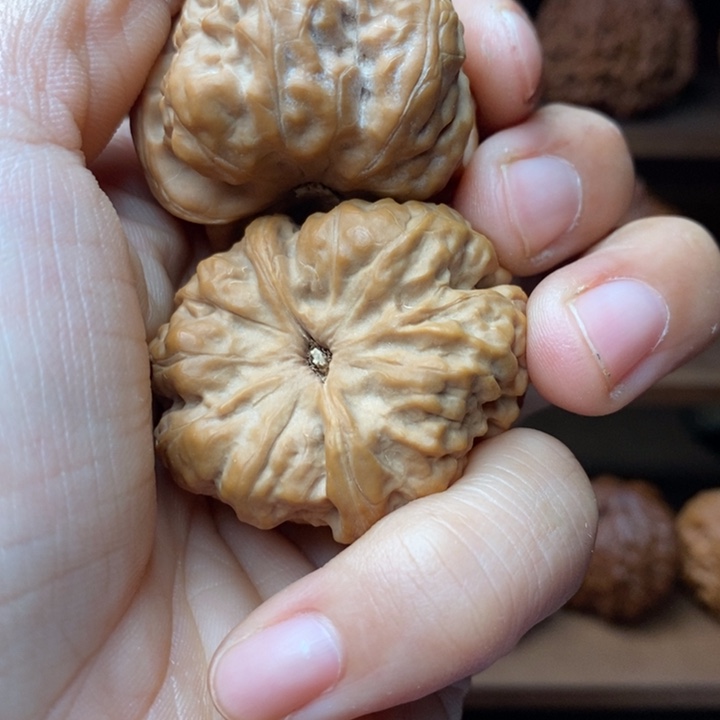 呦***龙脊菩提吊坠蛙蛙蛙蛙