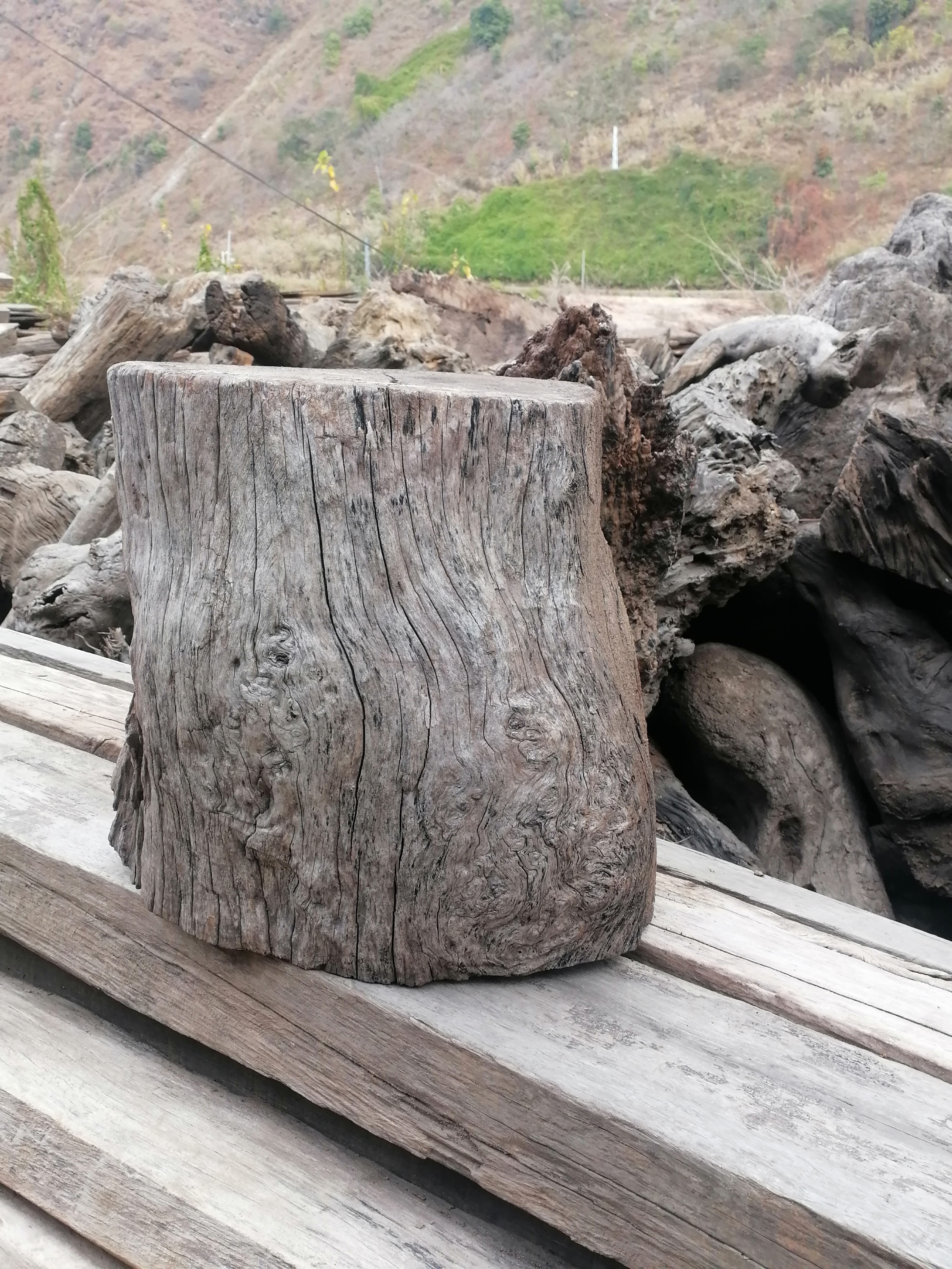 风化木源头欢迎你