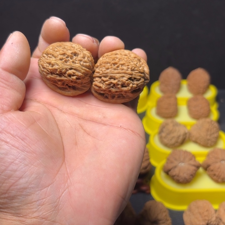 吉***康把件文玩核桃凹底丑南疆37尺2