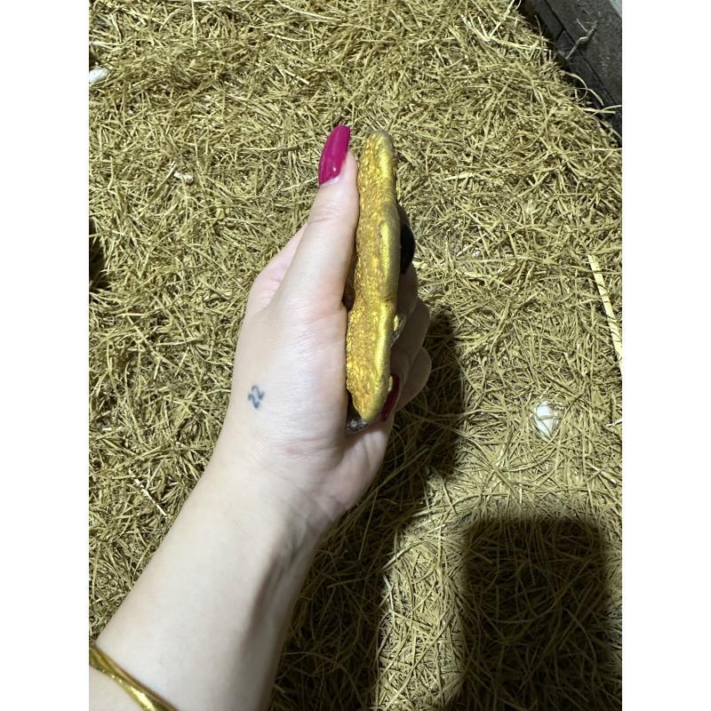 精品摆件HP130仿品