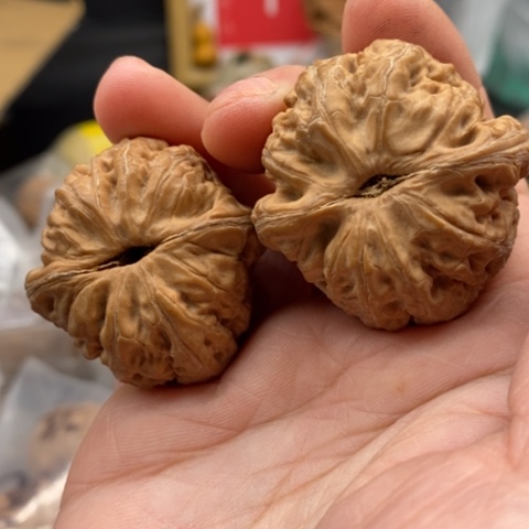 文玩核桃吊坠M*元宝