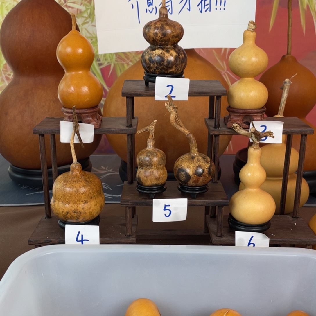 有机玻璃浅*葫芦葫芦葫芦