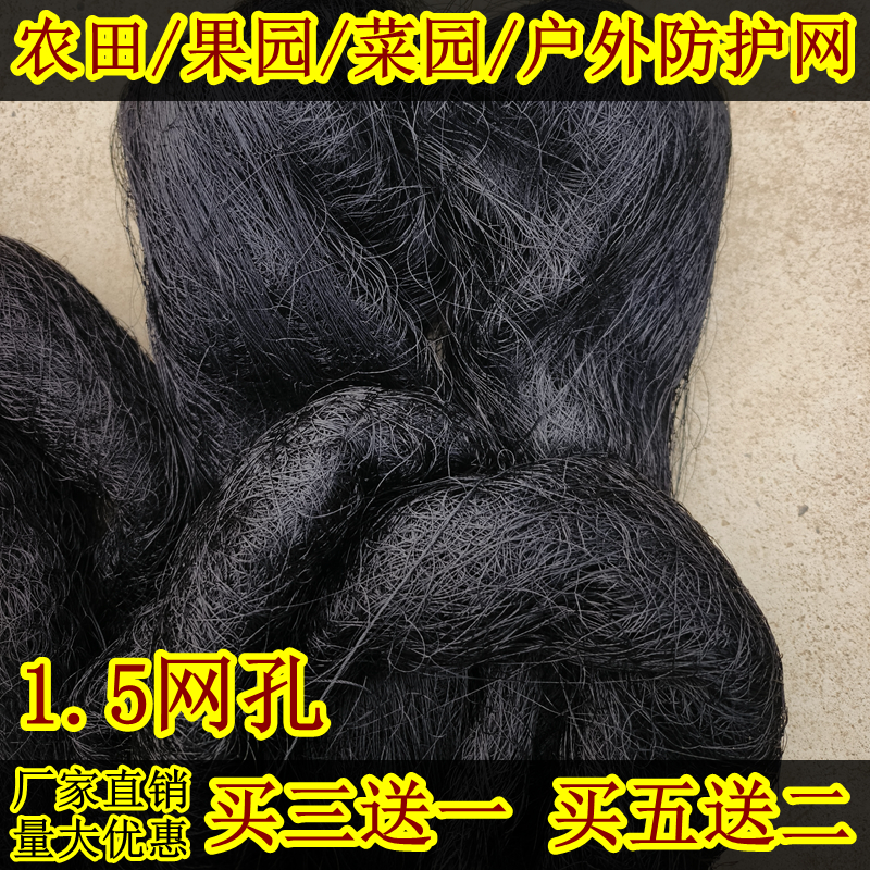 户外防鸟网菜园专用网果园神器网稻谷果树鱼塘养殖大棚农田防护网