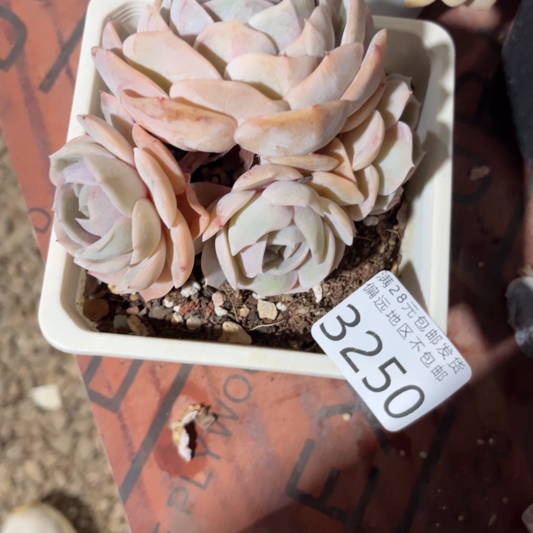 大3250（h c b b n n m