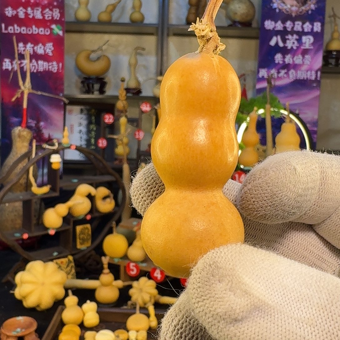 *****葫芦三肚定向运动训练