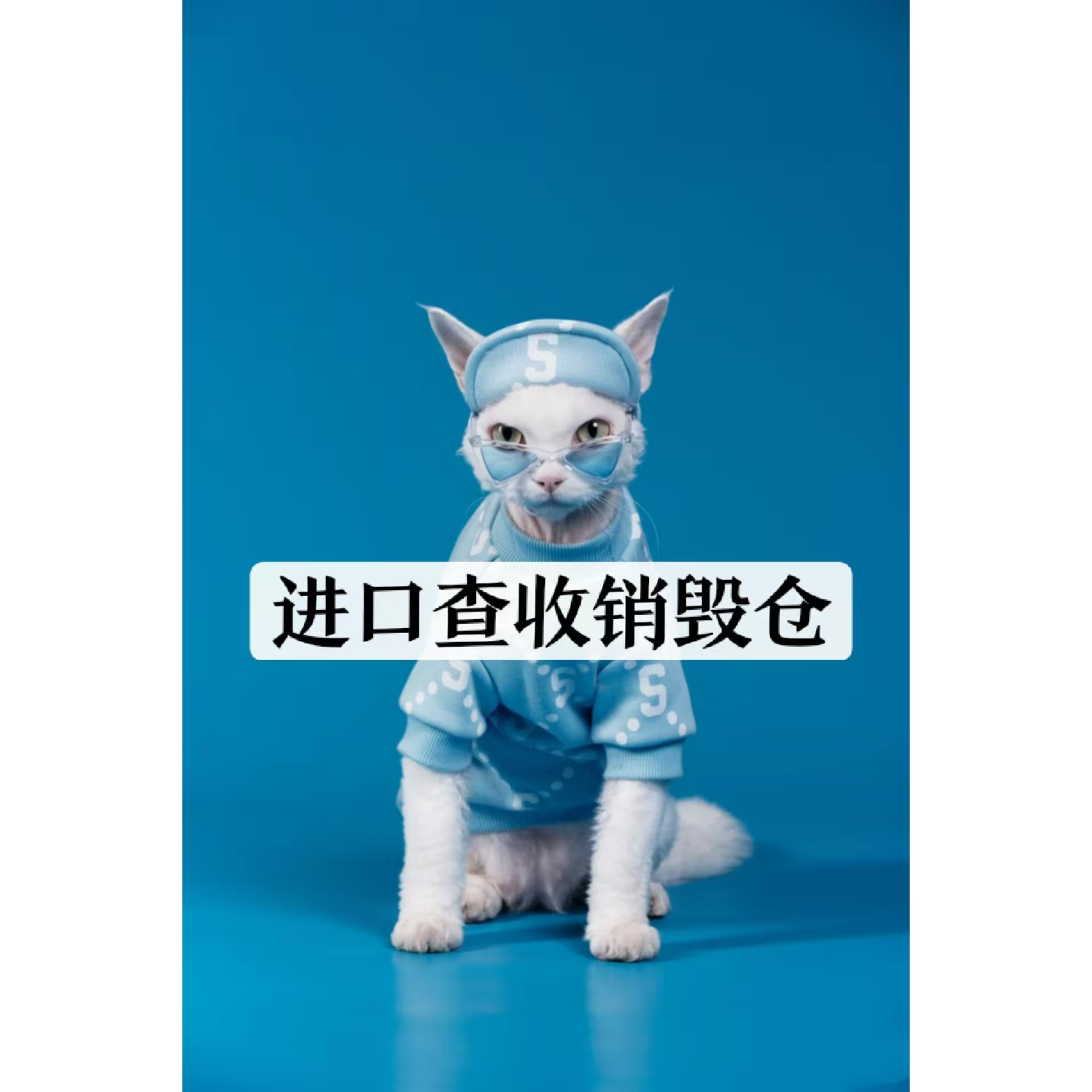 56号【全新未使用】-A18480-新款时尚潮流男女同款短袖