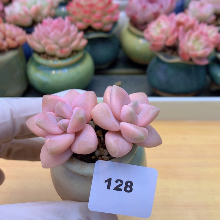 一物一拍满38包邮 128