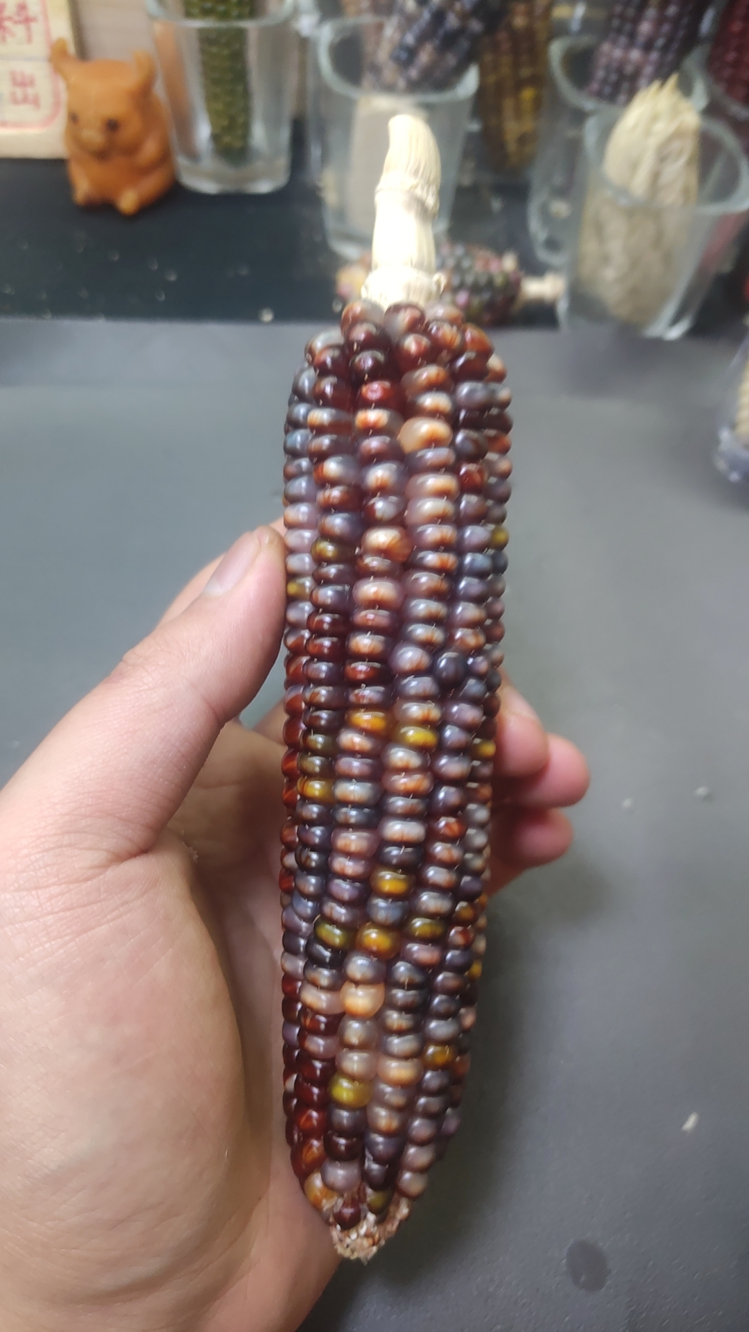 文玩玉米一物一拍