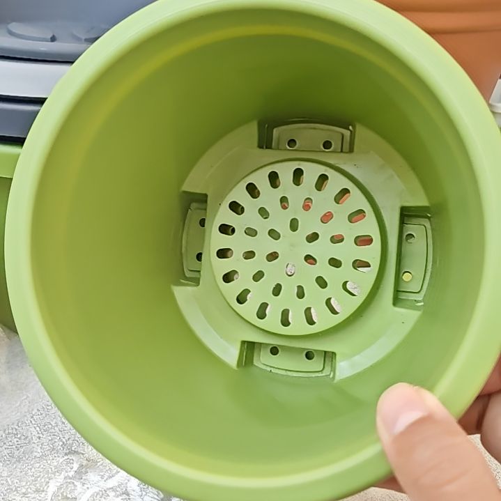 树脂球根一号外口径16.5，果绿无拖5个