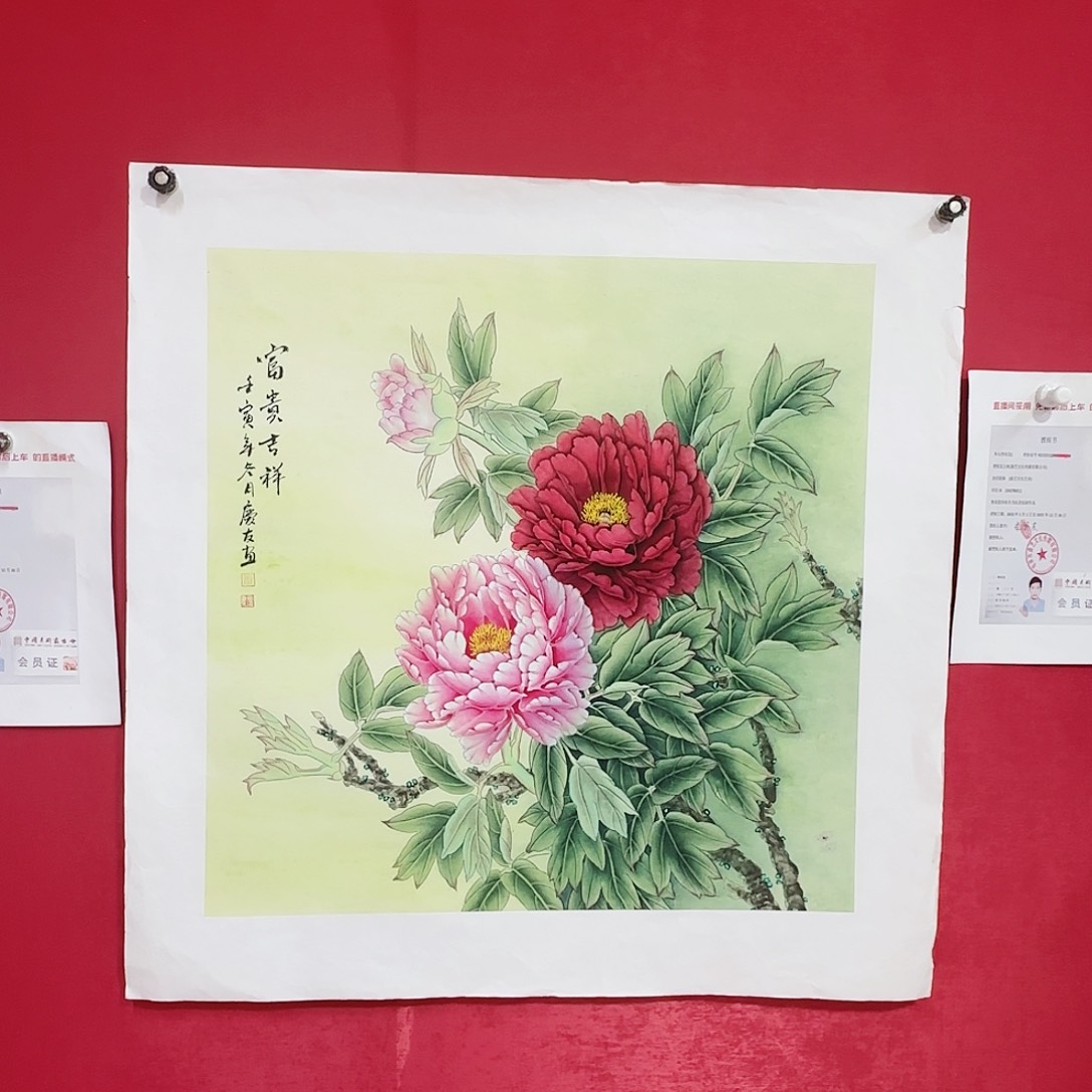 国画红皮书指出在这