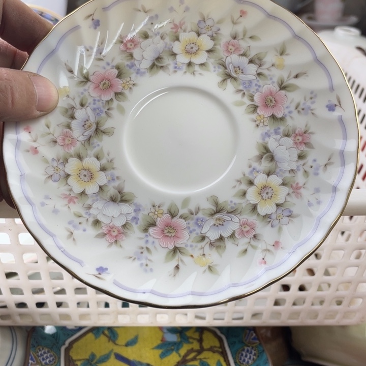 碟开播了开播了开播了