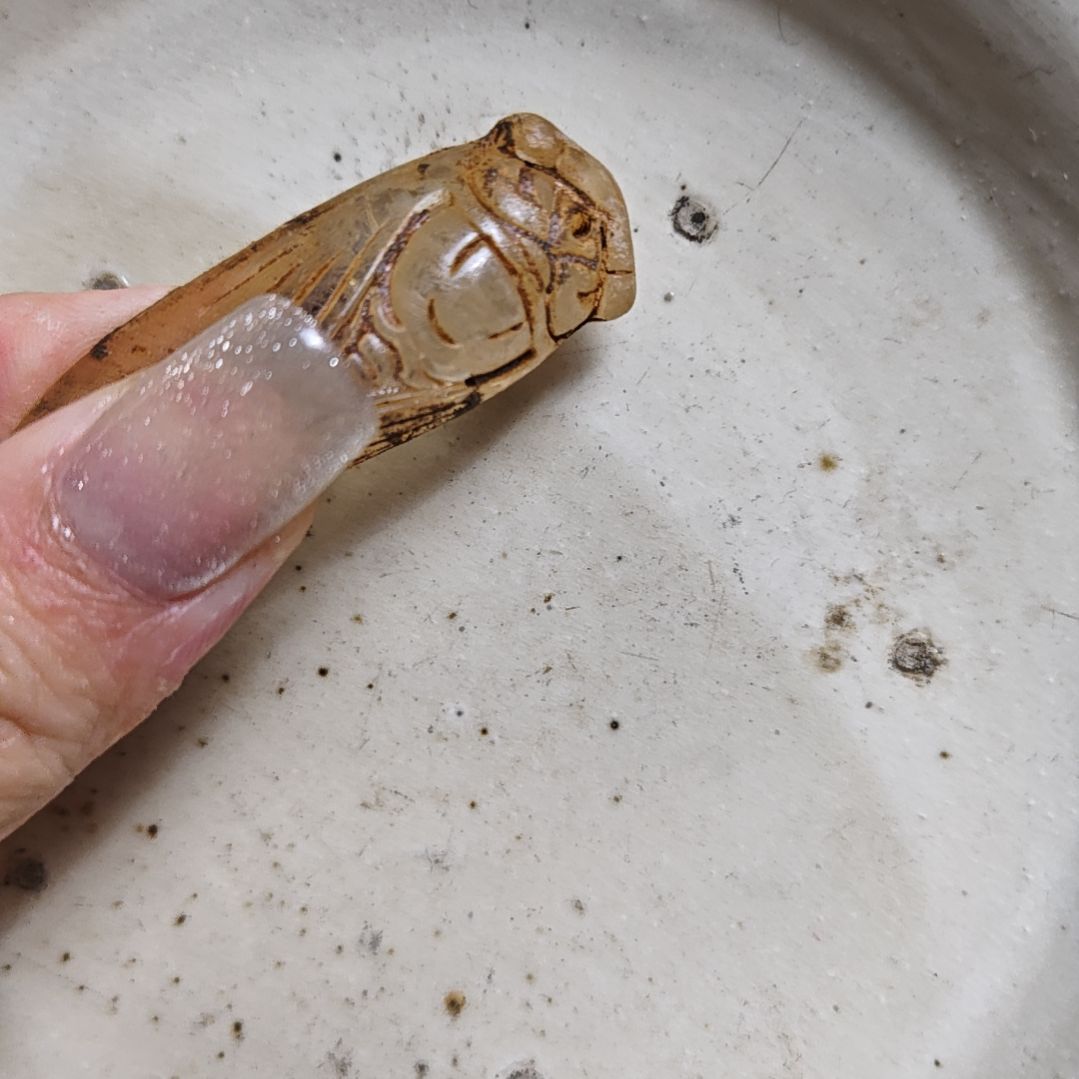 瓷片瓷器瓷器瓷器瓷器瓷器11122244333