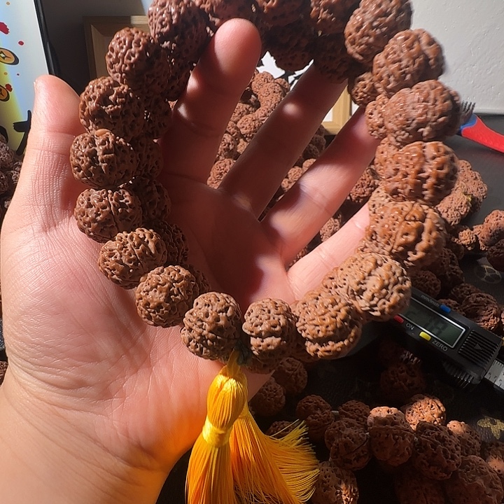 吊坠金刚菩提大金刚菩提一物一图