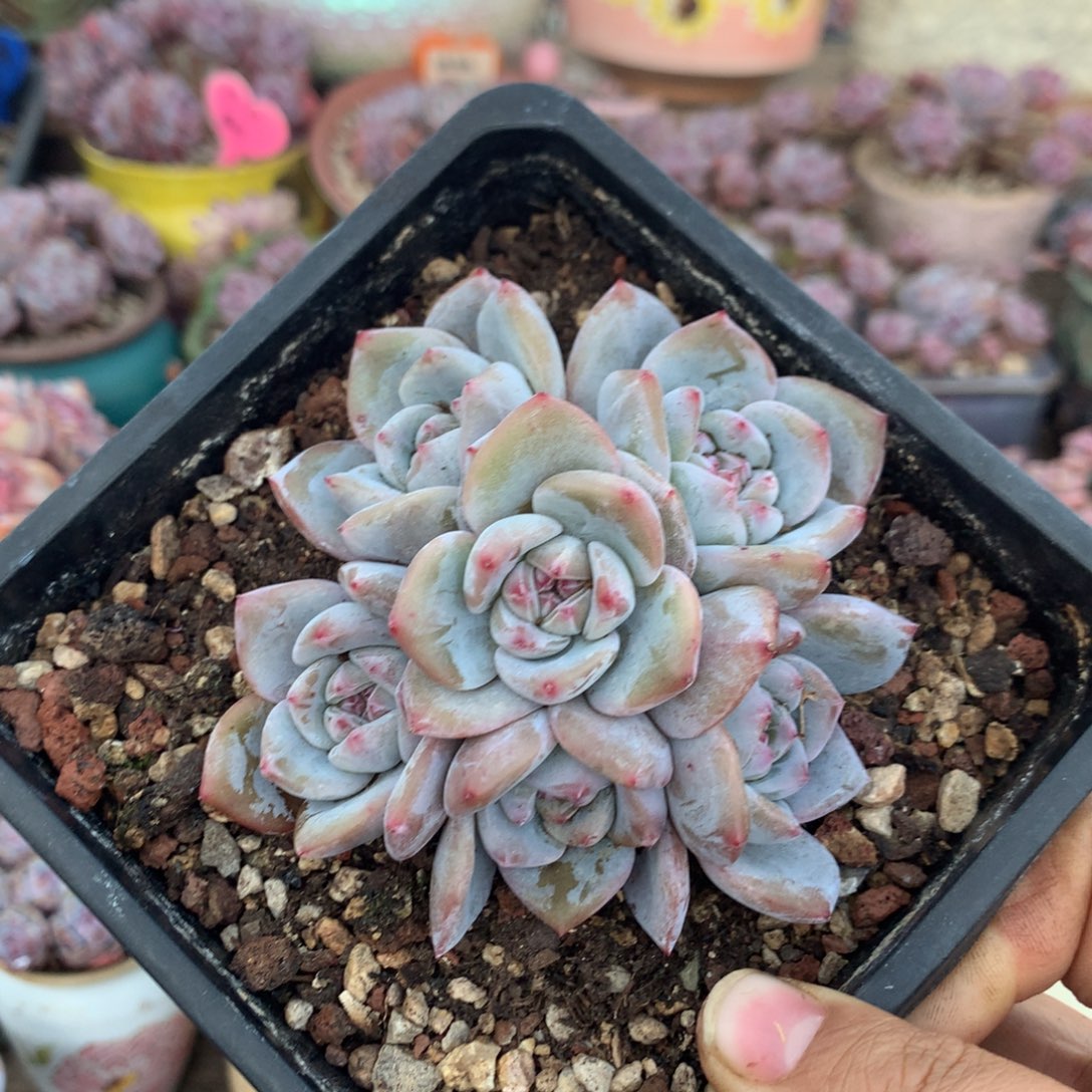 哈哈哈哈哈哈哈哈8