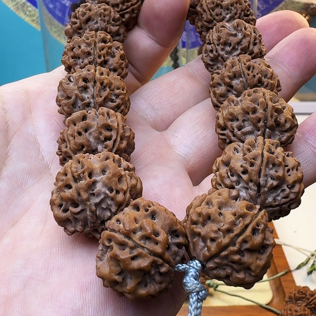 金刚菩提手串蜂窝双龙